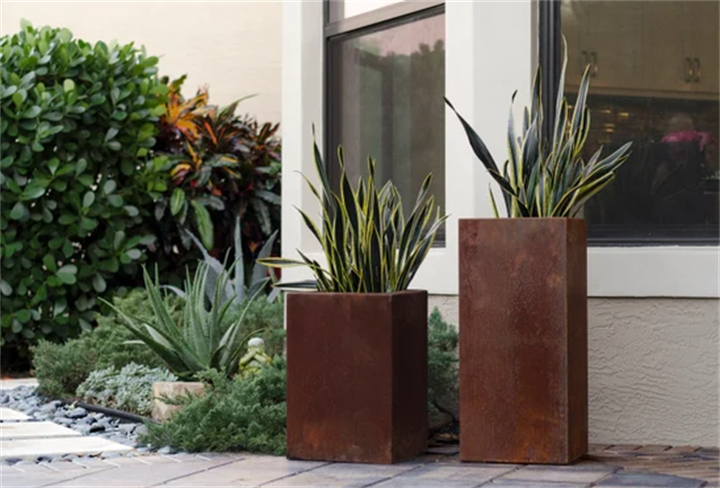 Tall square weathering steel Corten planters with ornamental plants beside residential home exterior