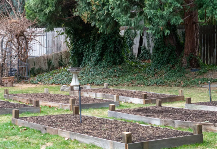 Layout of unfinished wooden raised planting beds in a New England backyard, solution for hard bedrock soil that cannot be dug deeply
