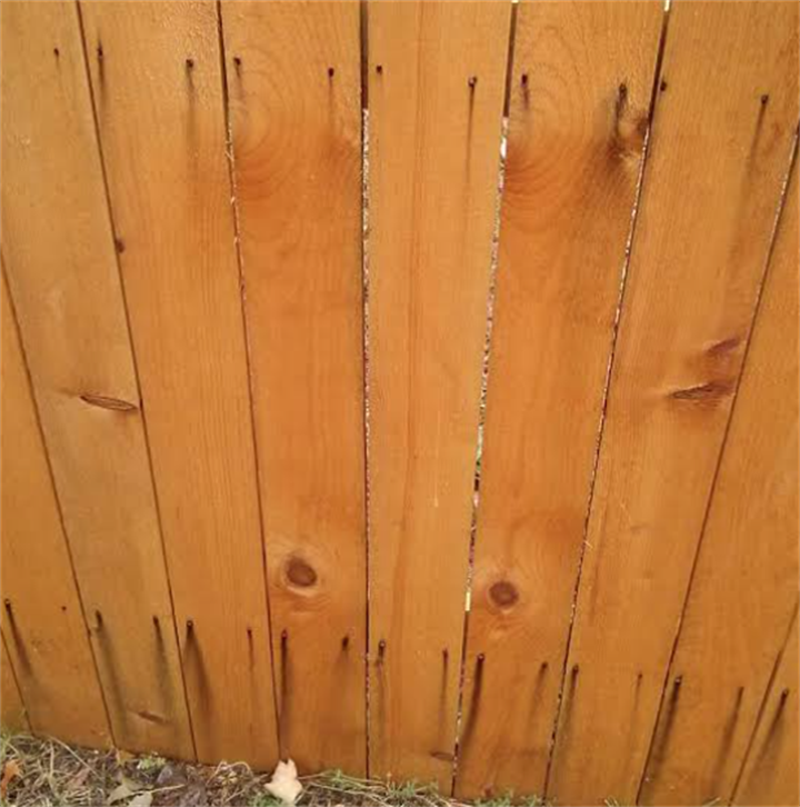 Finished Western Red Cedar fence planks milled at a Pacific Northwest small local sawmill